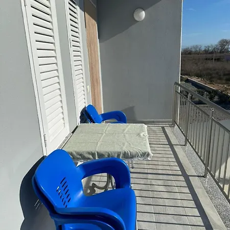 Guest Kolaj *